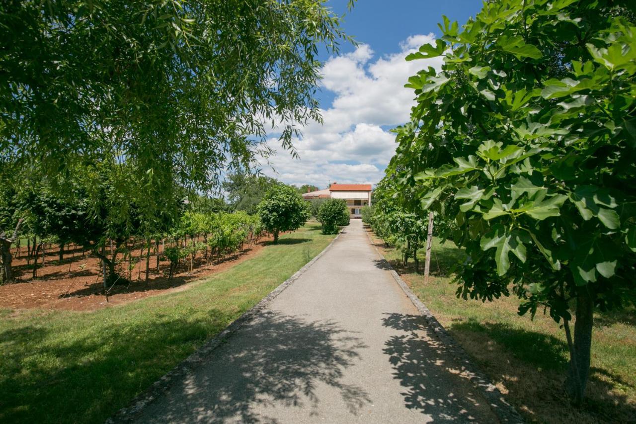 Apartman Vito Labin (Istria) Exterior foto